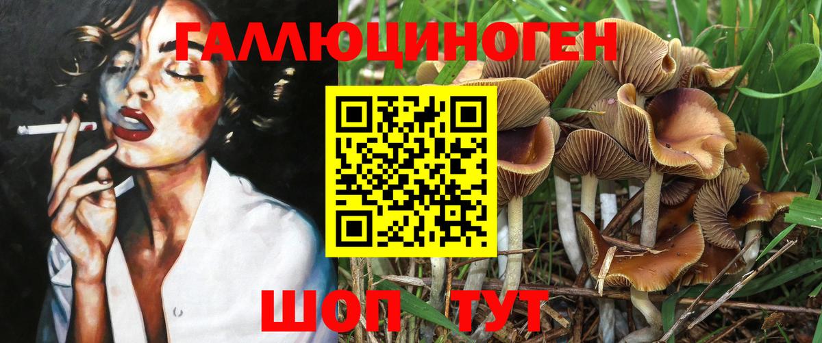 Псилоцибиновые грибы Cubensis  Галлюциногенные грибы ЛСД  Вход с VPN  Сорочинск 